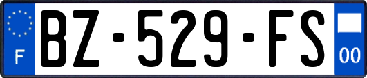 BZ-529-FS