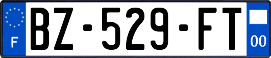 BZ-529-FT