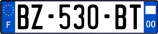 BZ-530-BT