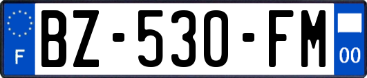 BZ-530-FM