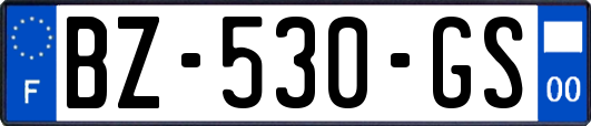 BZ-530-GS