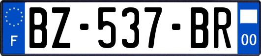 BZ-537-BR