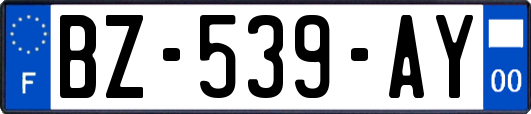 BZ-539-AY