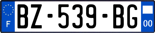 BZ-539-BG