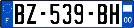 BZ-539-BH