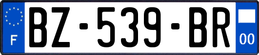 BZ-539-BR