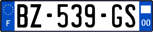 BZ-539-GS