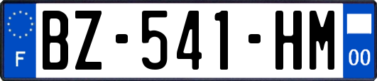 BZ-541-HM