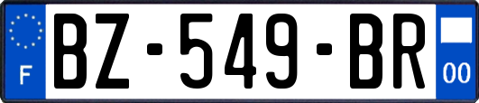 BZ-549-BR