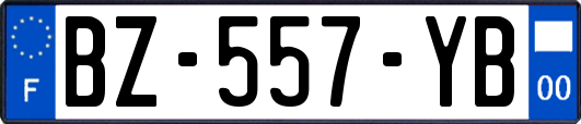 BZ-557-YB
