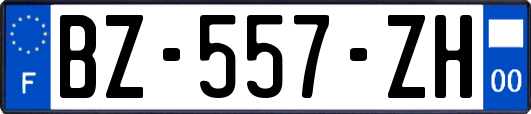 BZ-557-ZH