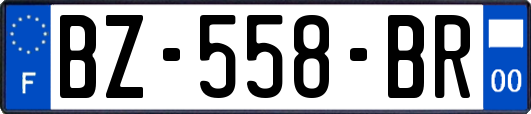 BZ-558-BR