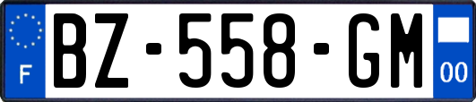 BZ-558-GM