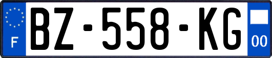 BZ-558-KG