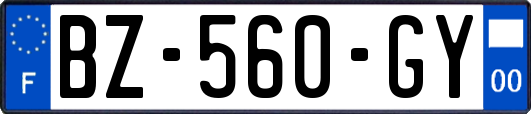 BZ-560-GY