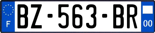 BZ-563-BR