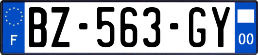 BZ-563-GY