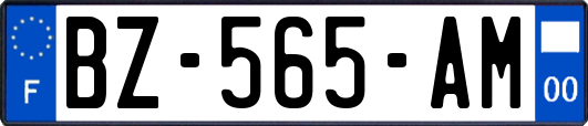 BZ-565-AM