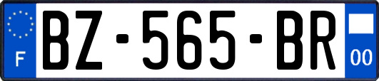 BZ-565-BR