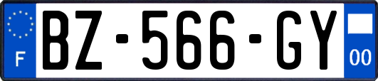BZ-566-GY