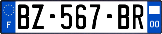 BZ-567-BR