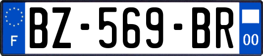 BZ-569-BR