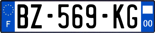 BZ-569-KG