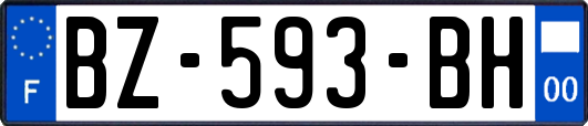 BZ-593-BH