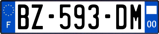 BZ-593-DM