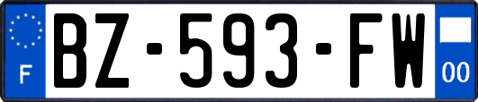 BZ-593-FW