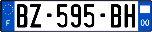 BZ-595-BH