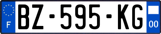 BZ-595-KG