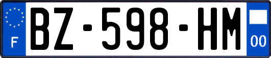 BZ-598-HM