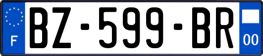 BZ-599-BR