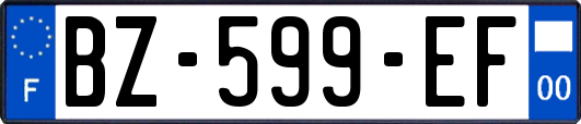 BZ-599-EF