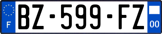 BZ-599-FZ