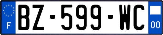 BZ-599-WC