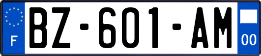 BZ-601-AM