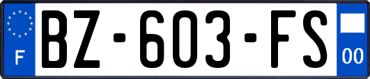 BZ-603-FS