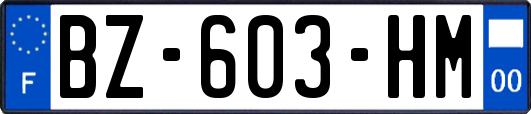 BZ-603-HM