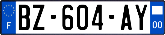 BZ-604-AY