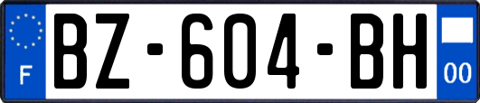 BZ-604-BH