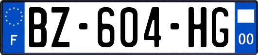 BZ-604-HG