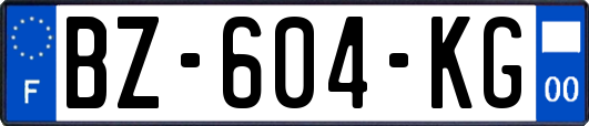 BZ-604-KG