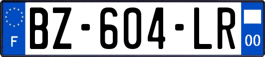 BZ-604-LR