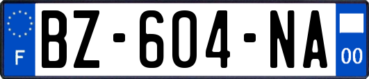 BZ-604-NA