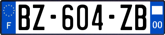 BZ-604-ZB