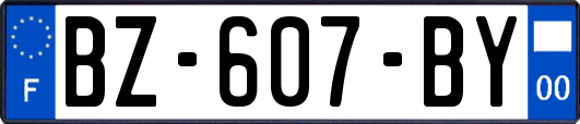 BZ-607-BY