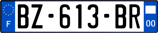 BZ-613-BR