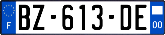 BZ-613-DE